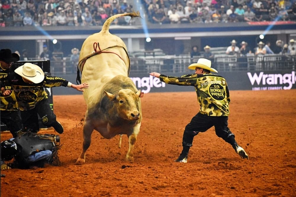 Bull bucking