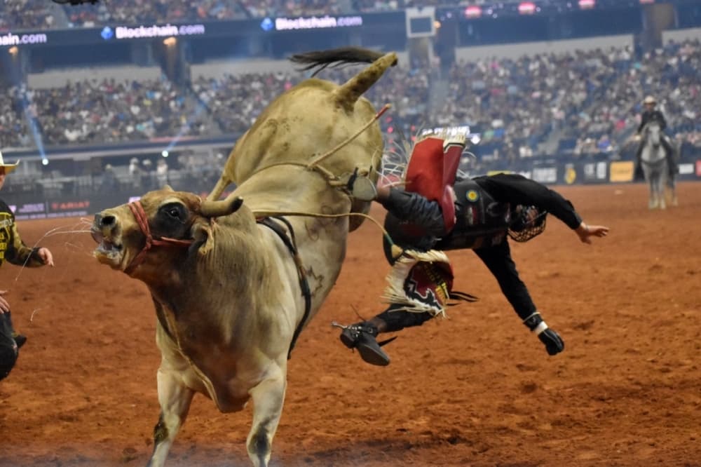 Dr. Phil's Merit Street Media to broadcast PBR events starting in July