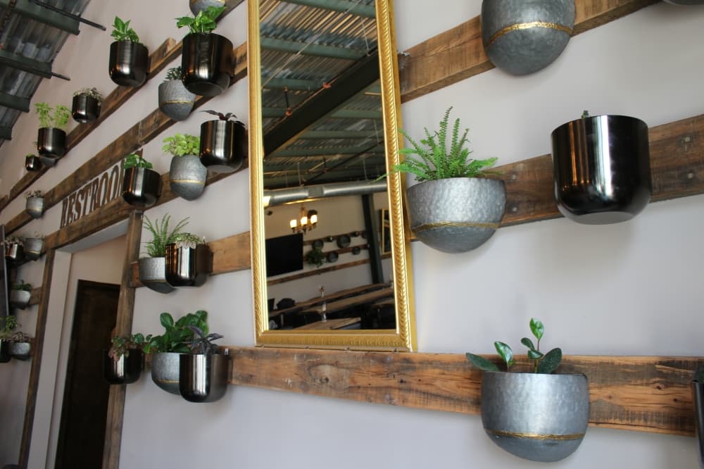 Katy Beer Garden's walls are adorned with plants, which will grow and later cover the walls with greenery, Salazar said. (Kelly Schafler/Community Impact)
