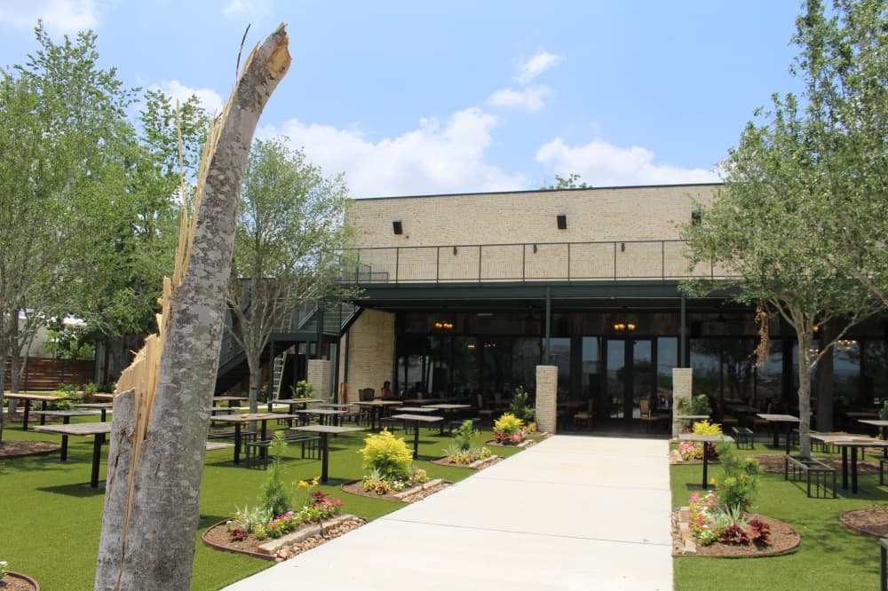The beer garden lost a tree during Houston's May 16 storm, but the venue suffered no other damages, Salazar said. (Kelly Schafler/Community Impact)