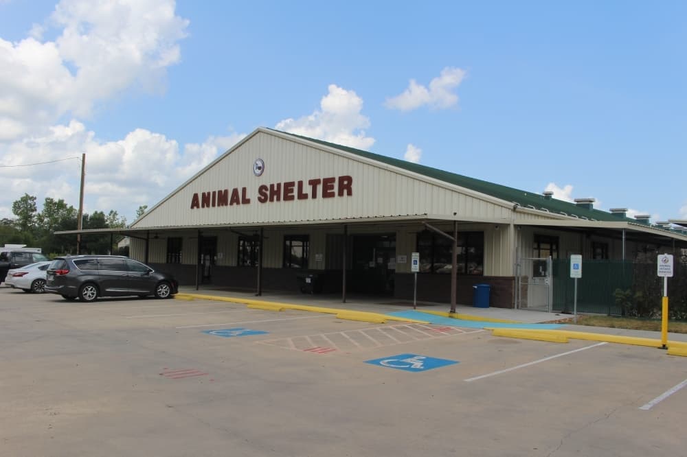 Montgomery County commissioners approve $18K to assess new animal shelter cost