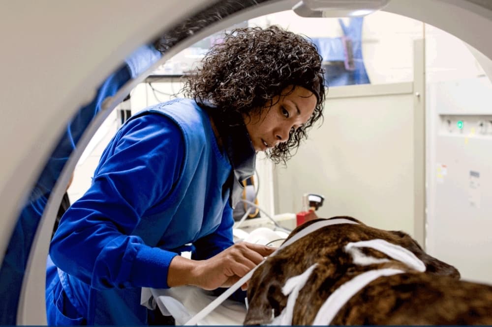 Pflugerville Animal Hospital moving to new location