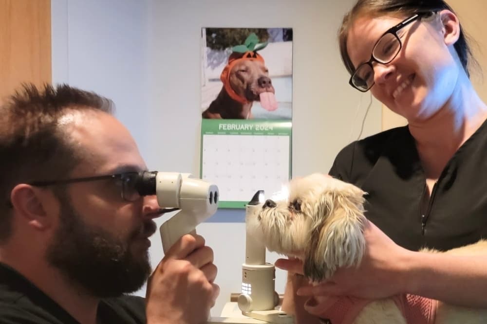 Thrive Pet Healthcare expands San Antonio presence