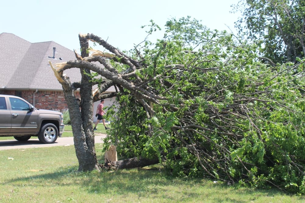tornado damage