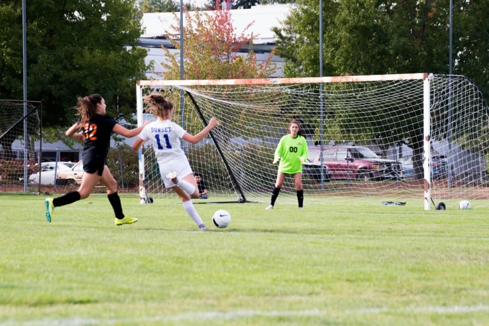 Wells Point Park soccer fields to receive improvements