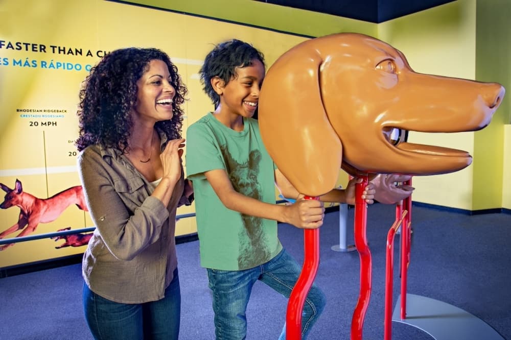 Check out these 10 San Antonio events happening in July, August