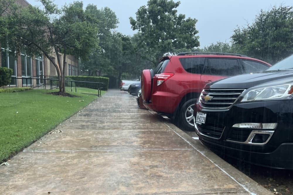 Frisco shares tips for storm debris cleanup