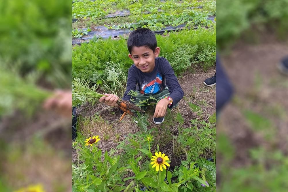 Isle Acre Farms debuts veggie-picking farm in Liberty Hill