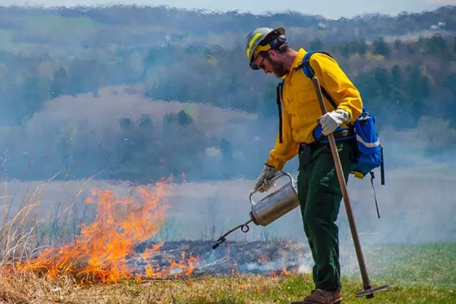 Prescribed burns to ignite safer, greener environments in Fort Worth parks