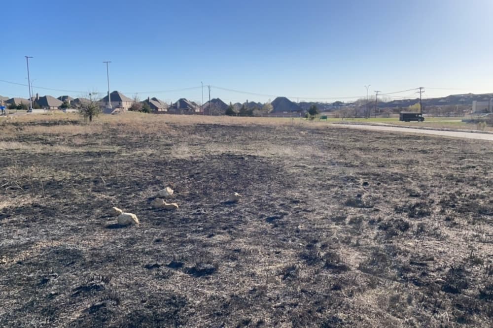 prescribed burn