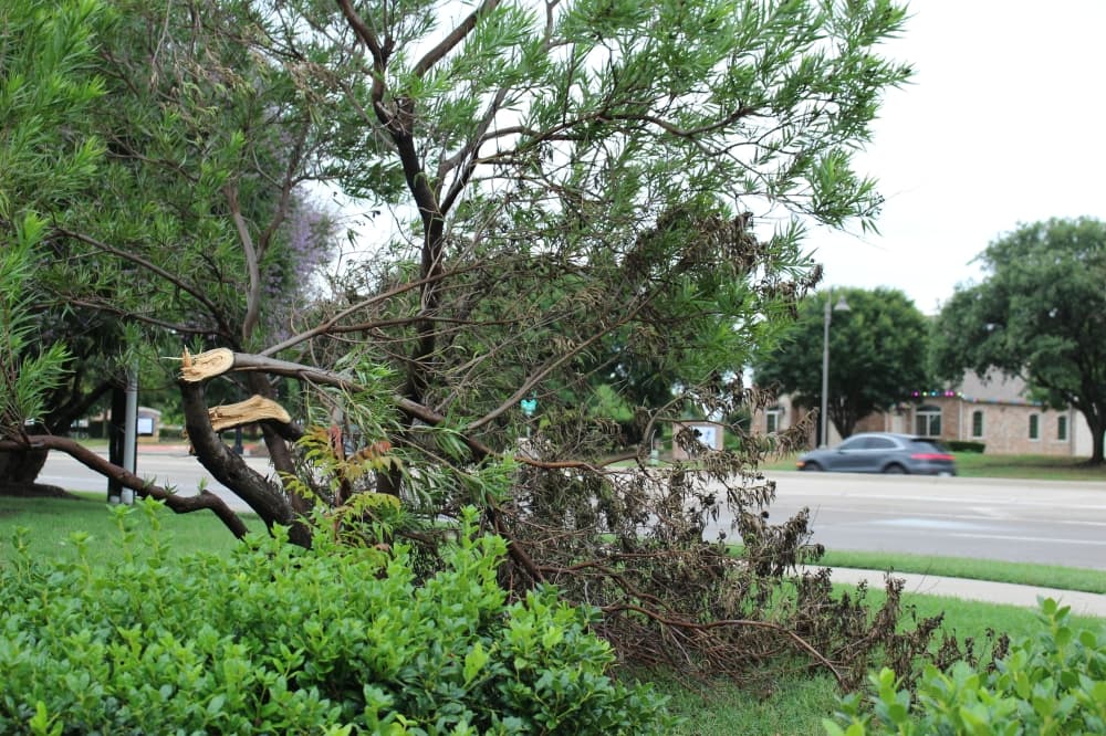 Frisco-wide debris sweep to begin June 10
