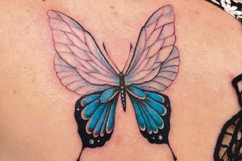 Image shows tattoo done by Serj at Free Spirit Tattoo Co.