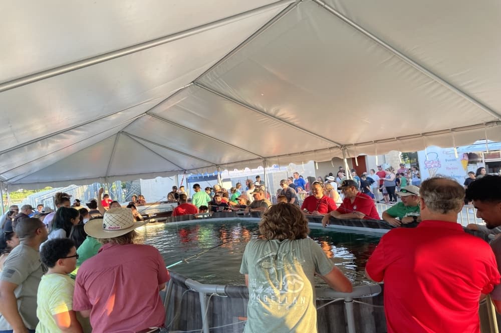 Cibolo to host fishing tournament during June 7 Cibolo Summer Nights event