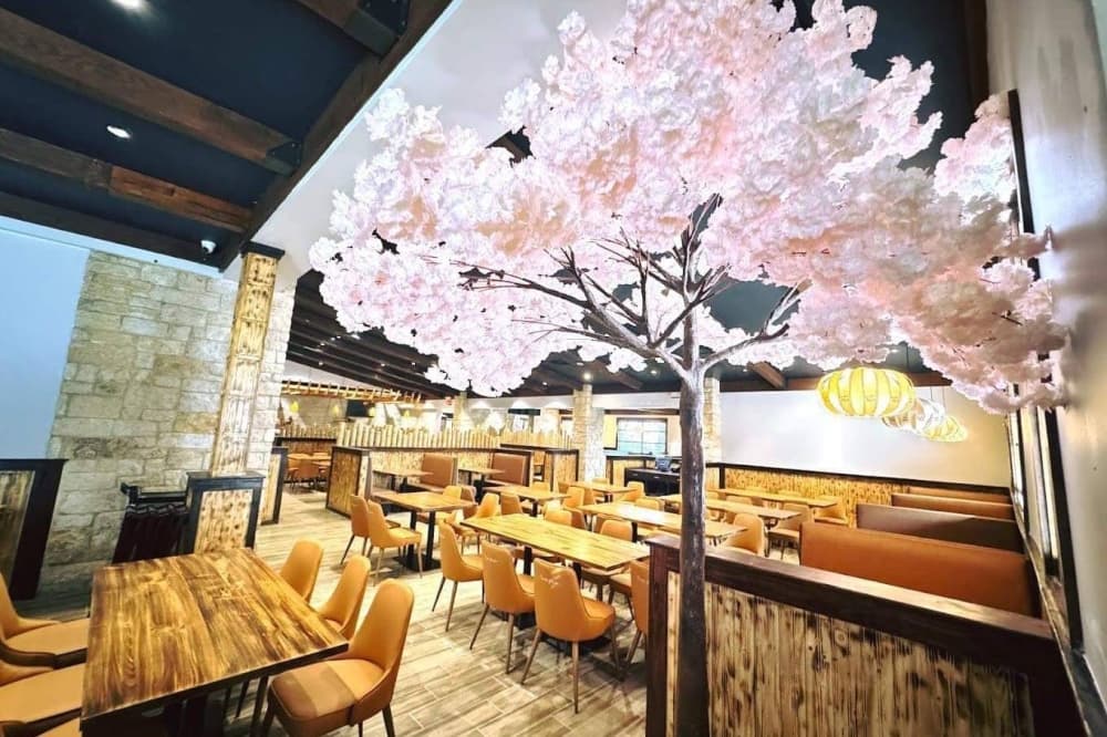 Sushi Masa serving sushi, sashimi in Plano