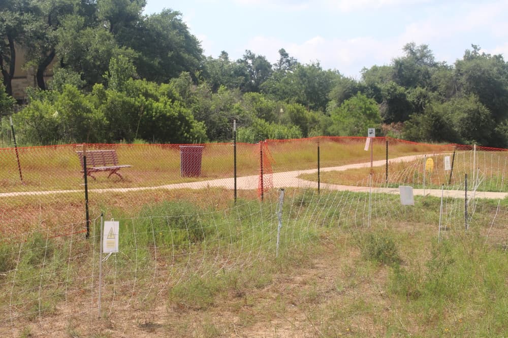 Electric fencing surrounds the goats, so visitors should avoid feeding or touching them. (Kameryn Griesser/Community Impact)