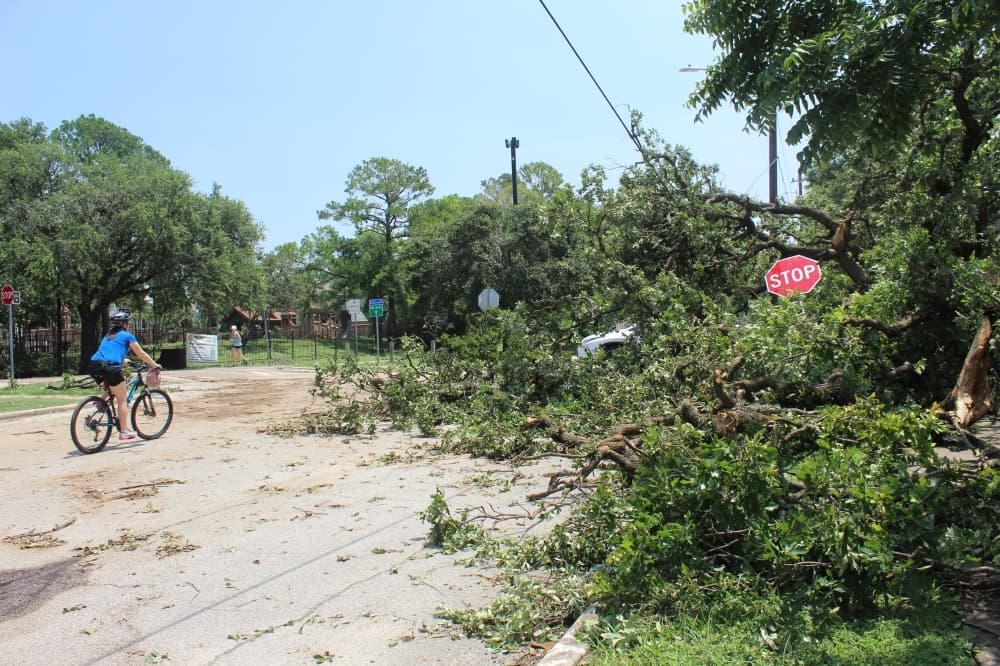 Houston, Heights area recovering from rare, destructive wind storm