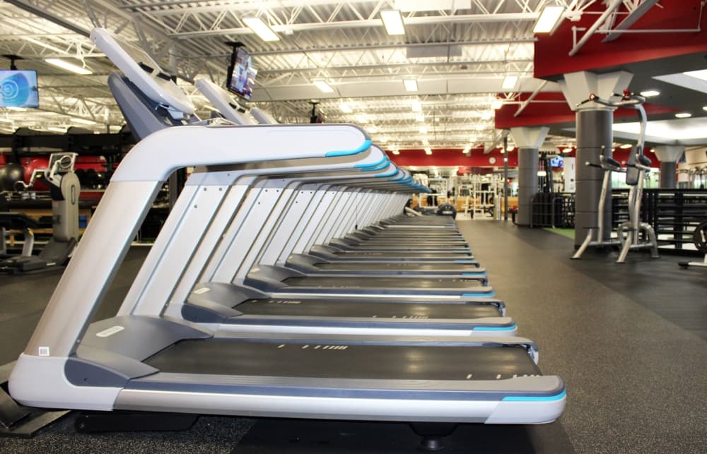 Row of treadmills in a gym. 