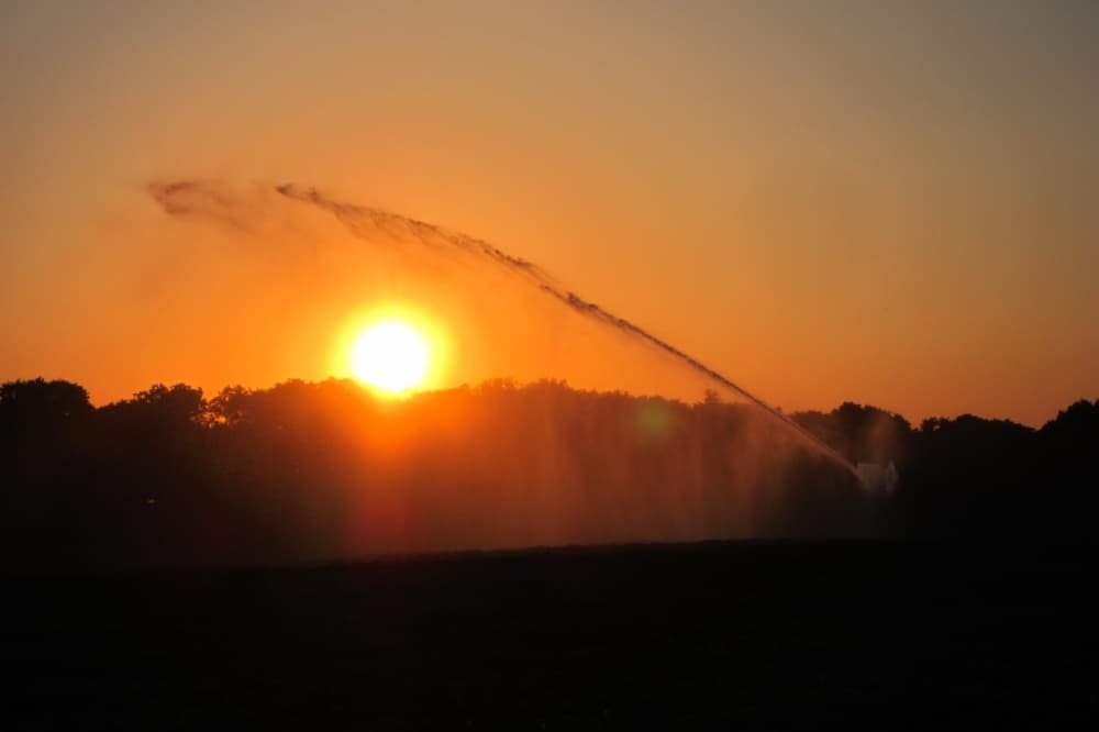 New Braunfels area grapples with lingering drought despite recent rainfall relief