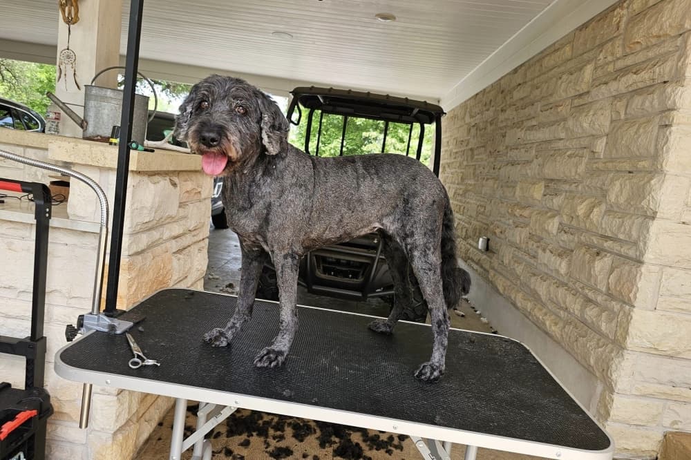 Maralyn’s Pet Services expands to Georgetown