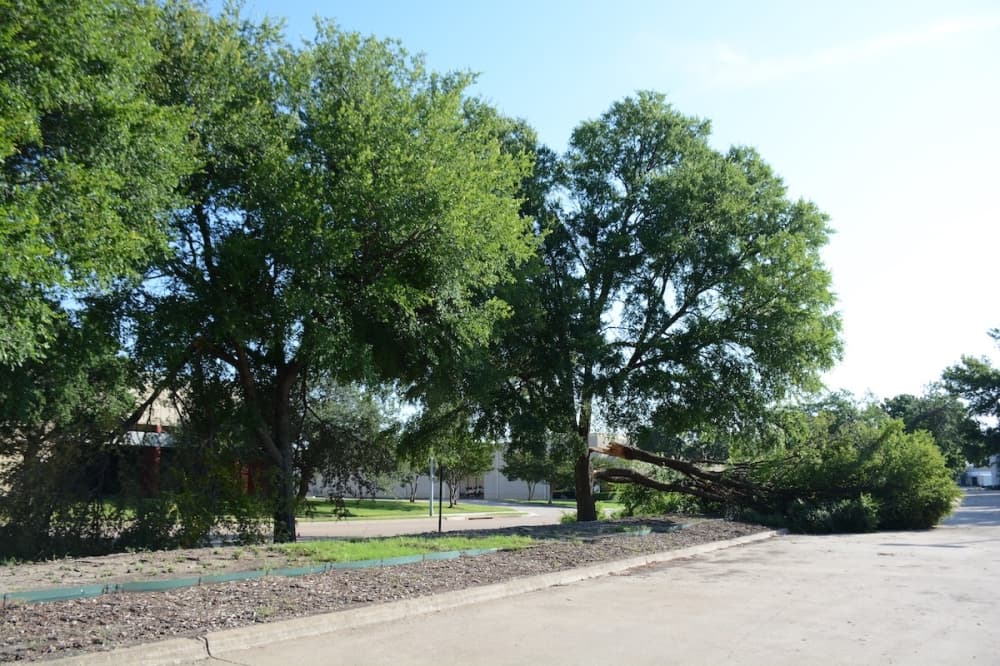 What you need to know about Richardson debris collection, FEMA centers