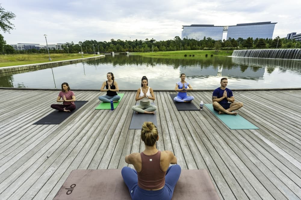 Practice yoga, adopt a pet: 5 things to do in the Spring, Klein area this weekend, June 21-23