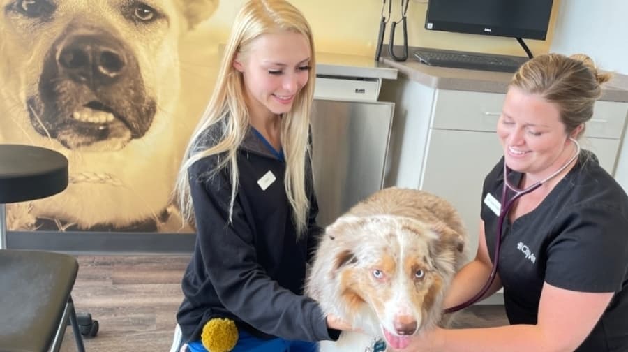 CityVet to bring veterinarian services to Keller’s Center Stage development