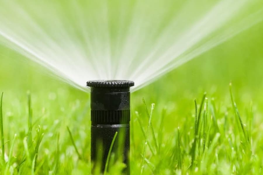 As lake levels rise, Bee Cave area returns to twice-per-week watering