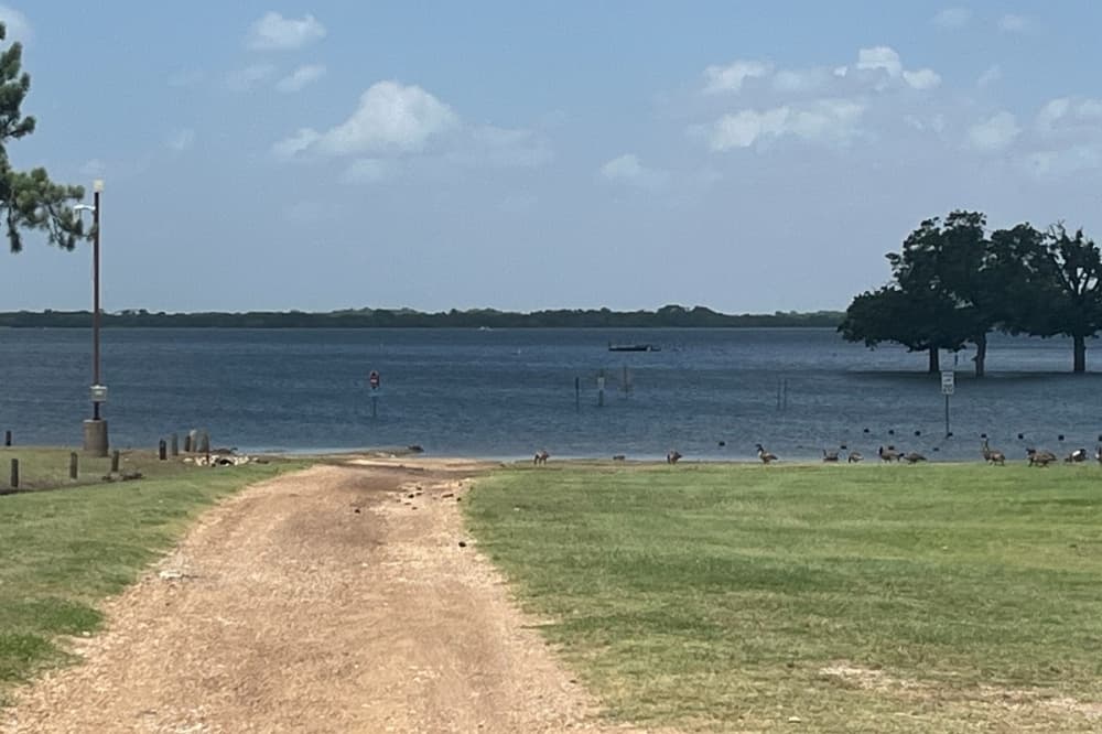Shoreline erosion to be examined at Lewisville Lake Park