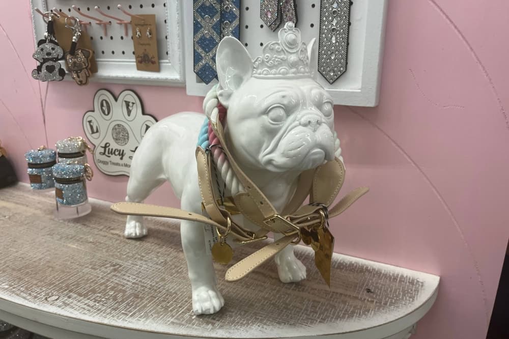 Painted Tree Boutiques spotlights small business owners in Grapevine
