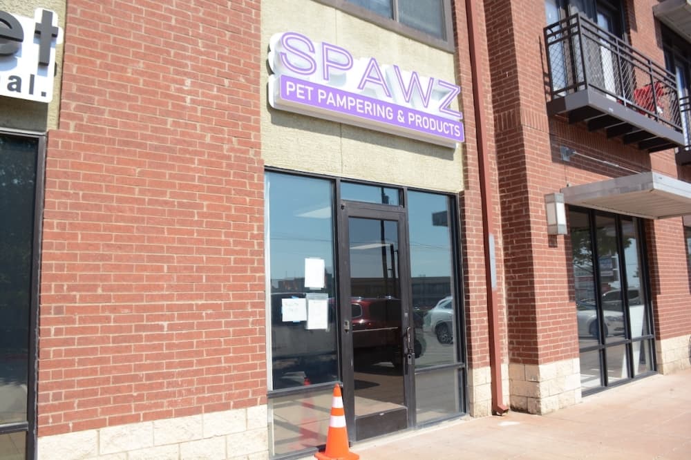 Spawz offers dog care services in Richardson