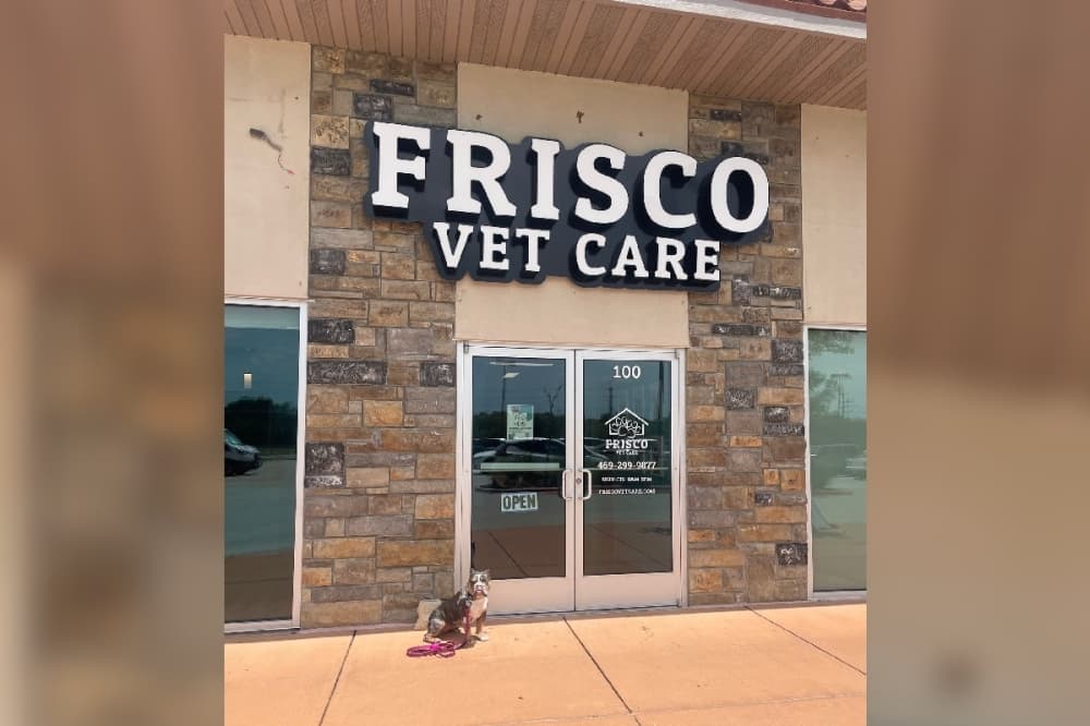 Frisco Vet Care offers pet care in north Frisco