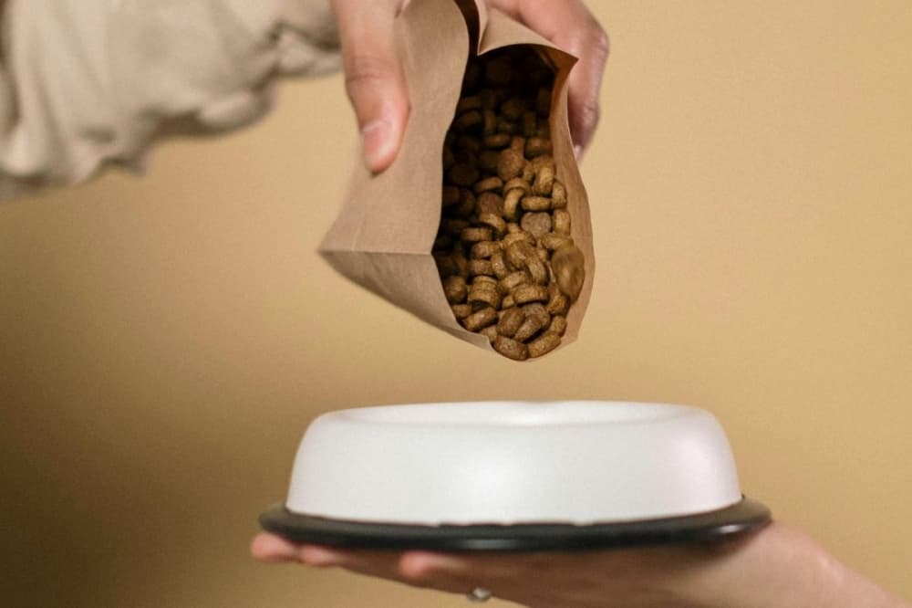 Pet Wants to offer natural pet food in Missouri City