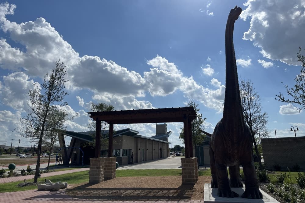 Dino Clean Car Wash opens in south Frisco