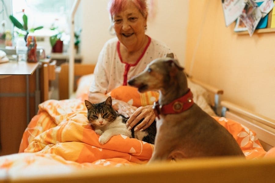 older woman with cat and dog on her bed in her apartment