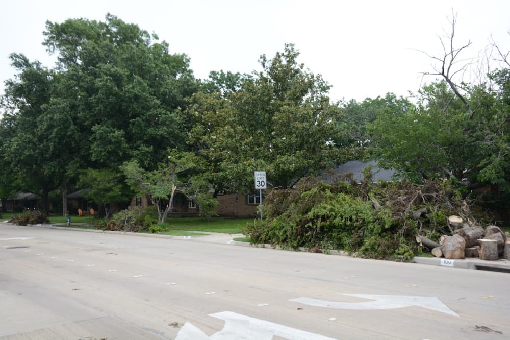 New FEMA disaster recovery center opens in Dallas County