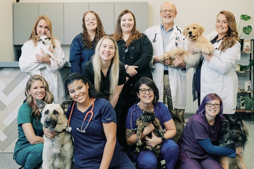 PetVet365 to provide veterinary care in Georgetown