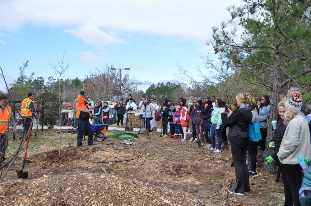 A group of people gather around tree planting