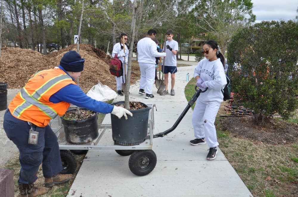 Maintaining tree canopy, sustainability part of The Woodlands' 50-year history