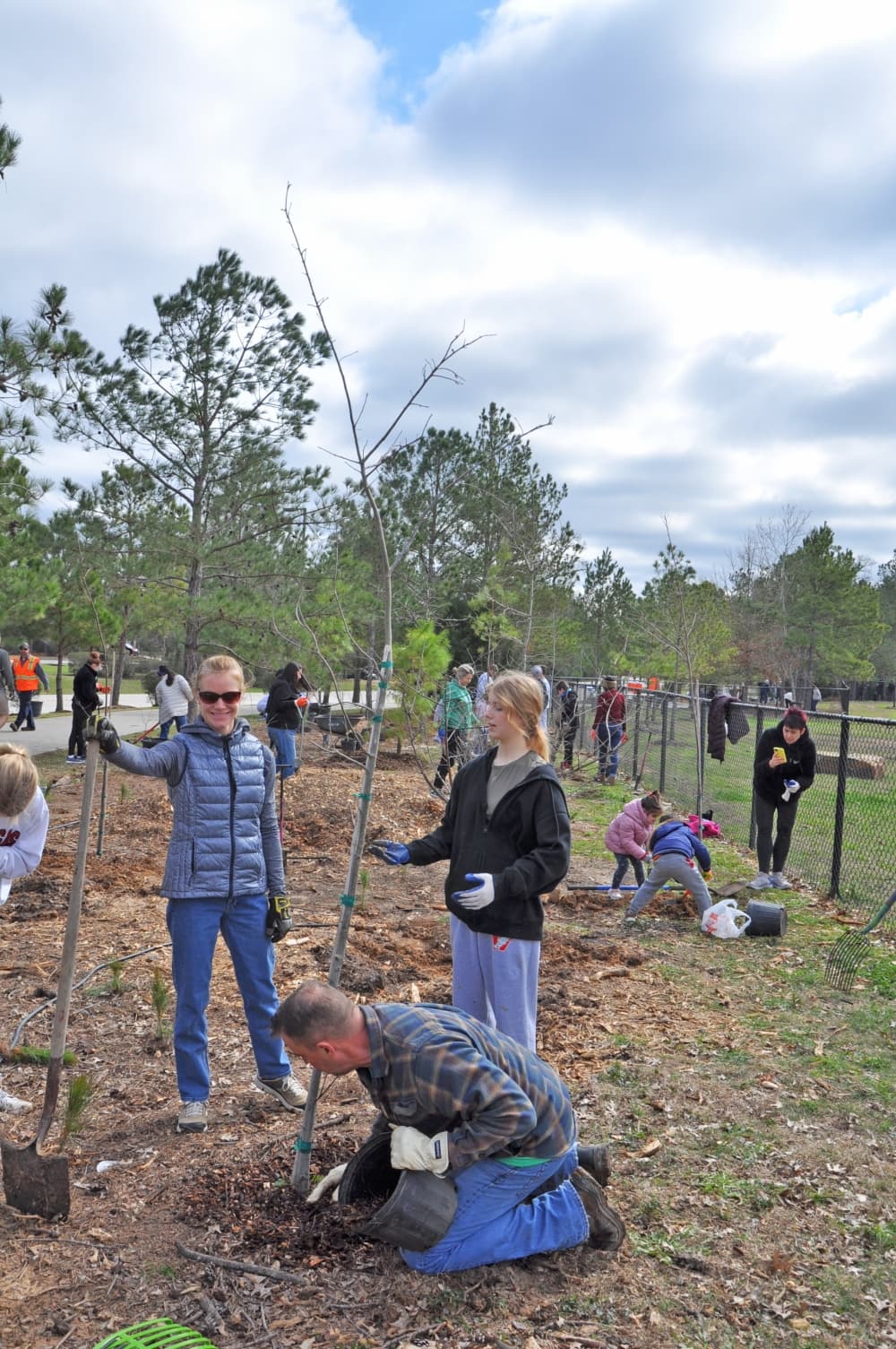 people plant trees