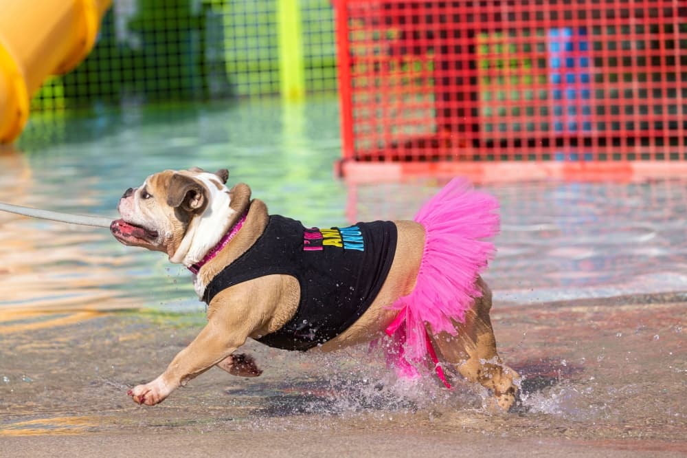 Check out 9 things to do this August, September in Keller, Roanoke, northeast Fort Worth