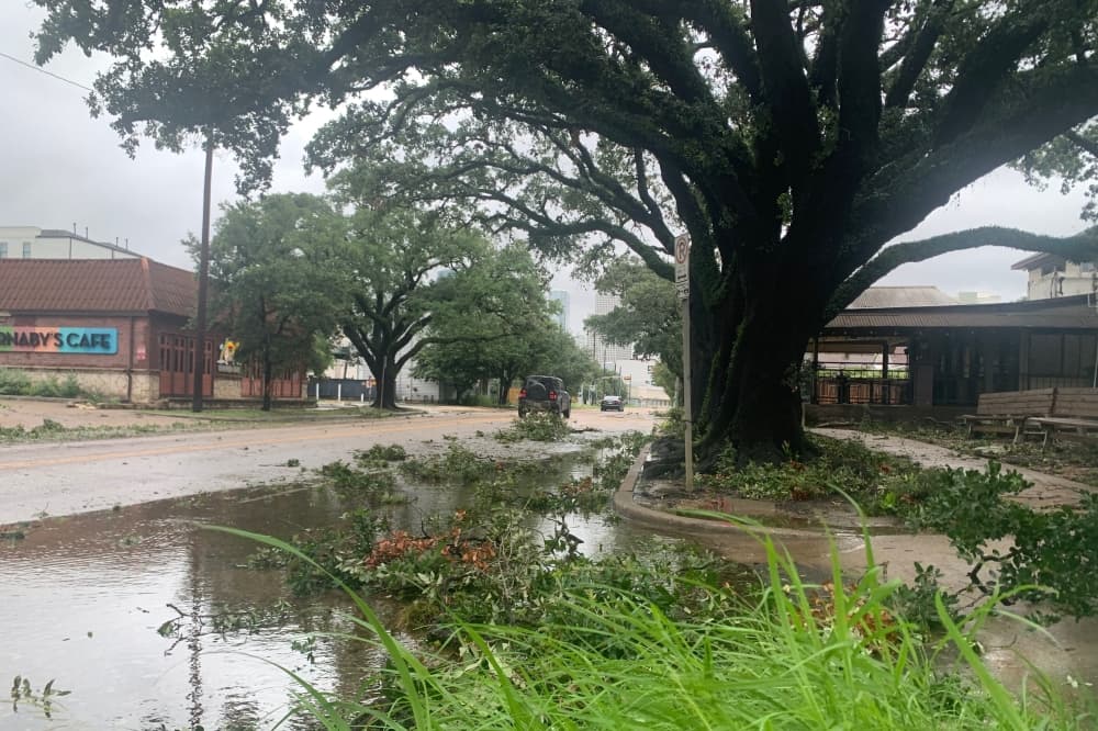 a city street with water flooding the drainage line next to a large tree