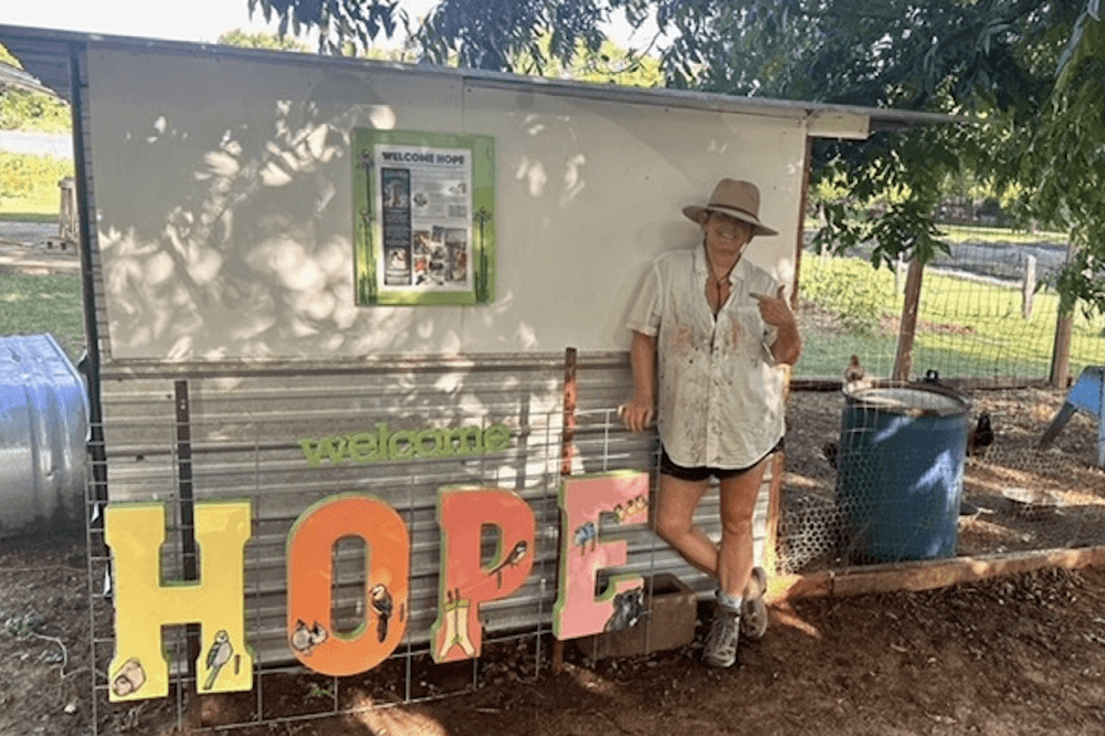 Local artist Welcomes Hope to Bastrop food pantry