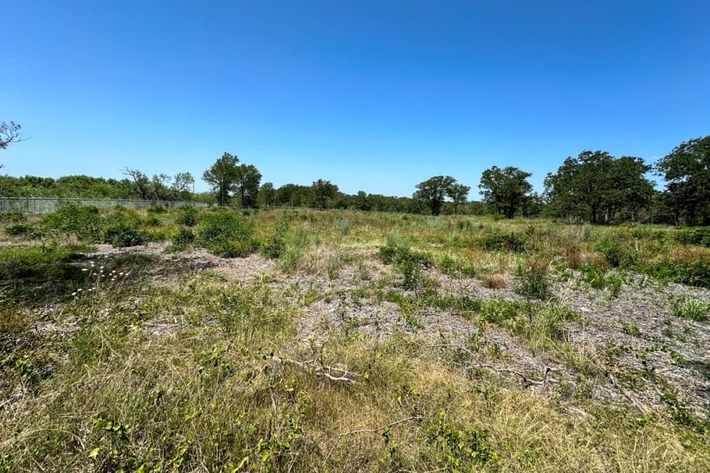 undeveloped field