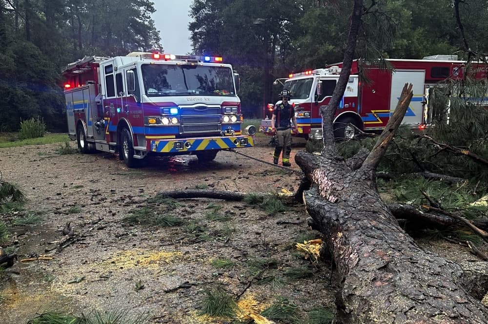 Beryl's effects in The Woodlands include 35 downed trees on homes, 7 rescues