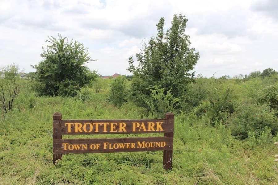 3 recent actions taken by Flower Mound Town Council