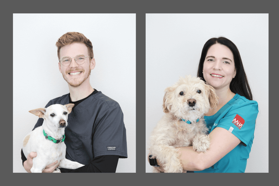 Meet the VO Vets team: Passionate veterinarians bring comprehensive pet care to Fort Worth and Trophy Club