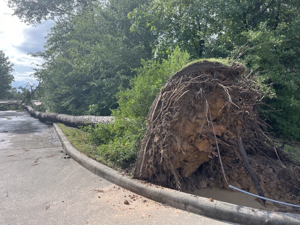 The Woodlands Township approves $2M for debris removal after Beryl