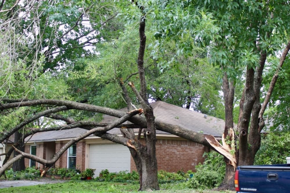 Harris County commissioners authorize Hurricane Beryl disaster, debris response plans