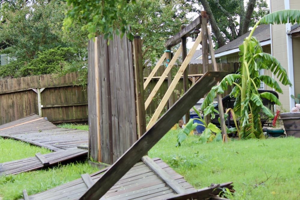 Disaster unemployment assistance available for those impacted by Hurricane Beryl