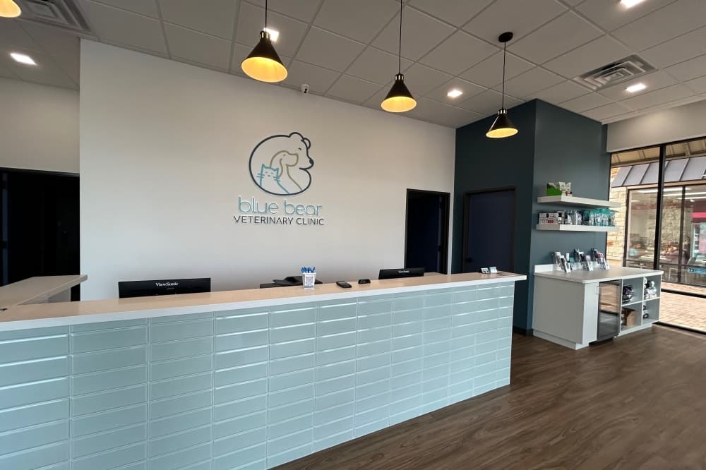 Locally owned Blue Bear Veterinary Clinic opens in Katy